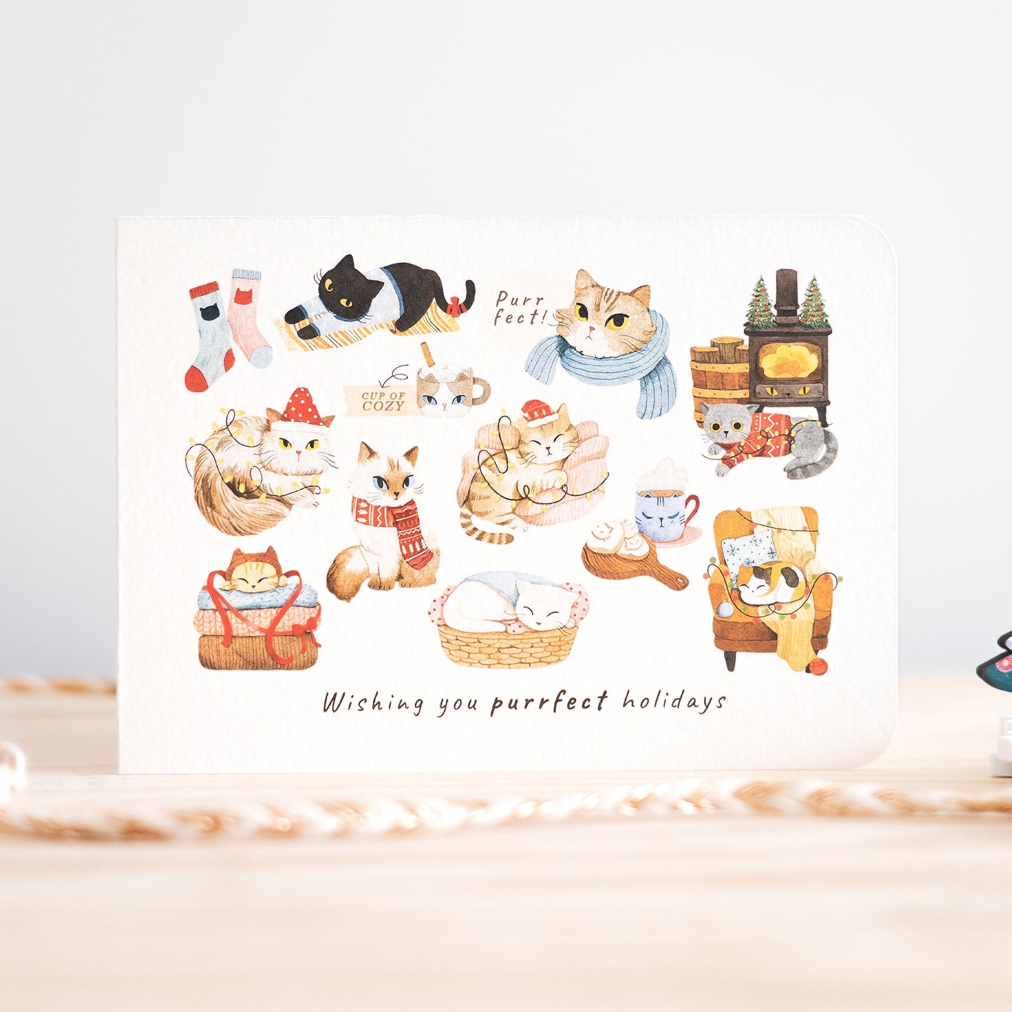 Purrfect Holidays