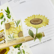 Premium Handmade Sticker Sheet Chamomile Sunflower 105mm x 148mm - 2 pieces on the stick and a sheet on the table 
